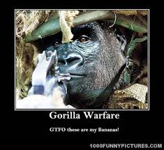 Guerilla Warfare Demotivational Posters Gorilla Animals Miniature Cows