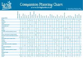 Companion Planting Companion Planting Chart Living Herbs