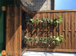 2.2 unten finden sie einige bilder von modernen gärten mit sichtschutz aus holz Balkon Sichtschutz Blumenkubel Diy Anleitung Idatschka De