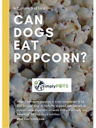 Can Dogs Eat Popcorn Is Popcorn Bad For A Dog Https Www Simplypets Com Can Dogs Eat Dog Nutrition Natural Dog