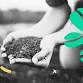 Compost & Thrive: Simple Solutions for Home  event image