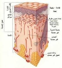 طريقة ازالة اثار الحروق من الجسم مجلة رجيم