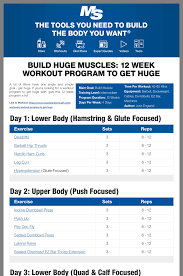 Pin By Arseniy On Health Full Body Workout Plan Muscle Building Workouts Weekly Workout Schedule