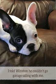 Okc Craigslist Garage Sales Garage Sale Blog About French Bulldog Puppy Cute Dog Photos Puppy Love