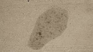 Moreover, its stickiness to the floor yet slippery on the top texture may also cause falls and hard to cleaning and coating the floor are the step that must be done to make the garage look better. How To Remove Oil Stains From Your Driveway Or Garage Todd S Automotive
