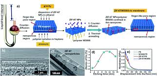 Confinement hapsedilme be kept in confinement tutuklu kalmak ne demek. Nano Confinement Inspired Metal Organic Framework Polymer Composite Separation Membranes Journal Of Materials Chemistry A Rsc Publishing