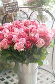 Pin On Flower Fantasies