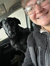 Meetup for dogs at Duke Park