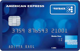 You can only recoup your baseline costs. The American Express Payback Credit Card Amex In