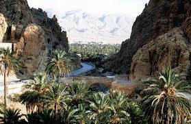 رحلة إلى بسكرة بالجنوب الجزائري
