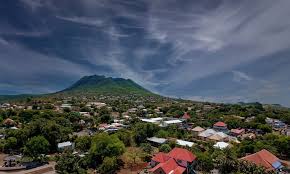 Image result for Staudtia