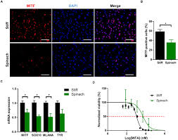 We did not find results for: Frontiers Plant Based Scaffolds Modify Cellular Response To Drug And Radiation Exposure Compared To Standard Cell Culture Models Bioengineering And Biotechnology