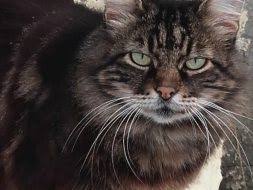 Фотографии из детства гостям праздника дается задание принести свои детские фотографии с младенчества или дошкольного периода. Segodnya 15 Iyunya Otmechayut Den Fotografii Prirody Gazeta V 24chasa