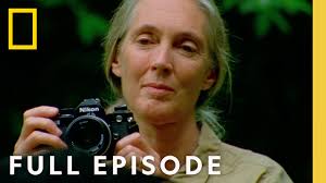 Jane Goodall: An Inside Look (Full Documentary)
