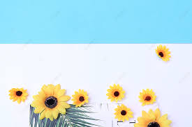 Selain menjadi pilihan untuk rangkaian bunga pernikahan. Peta Latar Belakang Pencocokan Warna Majalah Bunga Matahari Bunga Matahari Kecil Latar Belakang Blok Warna Bunga Matahari Gambar Latar Belakang Untuk Unduhan Gratis