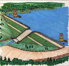 Find fun greeting cards, magazine pictures, party decorations, or simple pictures you draw on a piece of paper. Dams 101 For Kids Association Of State Dam Safety