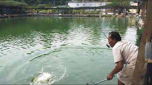 Maybe you would like to learn more about one of these? Salam Pacakkk Kolam Taman U Serdang Episode 26 Bahagian 1 By Dunia Pemancing Malaysia