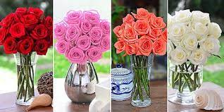 Ten Common Mistakes Everyone Makes In Tulips Flower Shop Manila Tulips Flower Shop Manila Tulips Flowers Flower Shop Flower Delivery