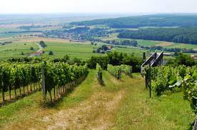 Land burgenland, stadt eisenstadt, burgenland, austria. Burgenland The Sunny Side Of Austria Travel To Austria