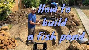 How To Build A Pond Like A Pro Building A Fish Pond How To Make A Pond Youtube Fish Pond Building A Pond Fish Pool