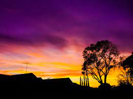 All the best los angeles lakers gear and collectibles are at the official online store of the lakers. Devean George On Twitter Purple Sunset Think It S For The Lakers Golakers Http T Co Heocs0dj4w