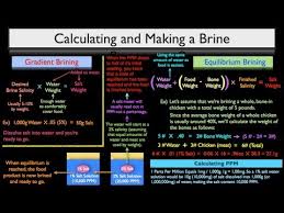 fs 002 the science behind brining four part video lecture