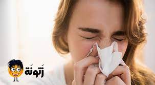 ‫طرق علاج البرد عند طائر البادجى الاسترالى و الوقاية منه. Ø¹Ù„Ø§Ø¬ Ø§Ù„Ø§Ù†ÙÙ„ÙˆÙ†Ø²Ø§ Ø¨Ø§Ù„Ø§Ø¹Ø´Ø§Ø¨ Ø¹Ù„Ø§Ø¬ Ø§Ù„Ø¨Ø±Ø¯ Ø¨Ø§Ù„Ø¨Ø±Ø¯Ù‚ÙˆØ´ ÙˆØ§Ù„ÙŠØ§Ù†Ø³ÙˆÙ† ÙˆØ§Ù„Ø²Ù†Ø¬Ø¨ÙŠÙ„