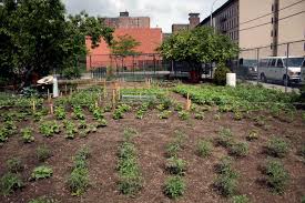 Roast pork egg roll $1.10 roast pork egg roll $1.15 spring rolls (2) $1.80; Wanaqua Family Garden Grownyc