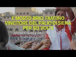 Order online and enjoy your favorite brio italian dishes at home. E Morto Brio Fantino Vincitore Del Palio Di Siena Per Sei Volte Youtube