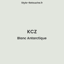 Image result for Blanc Antarctique 2011 Citroen