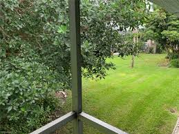 750 pondella rd, north fort myers, fl 33903. 1114 Tropic Terrace North Fort Myers Fl 33903 Condo For Rent In North Fort Myers Fl Apartments Com