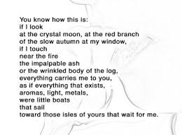 If You Forget Me By Pablo Neruda A Poem Analysis Pablo Neruda Poem Analysis Poems