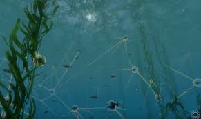 We did not find results for: Ekosistem Laut Pengertian Contoh Komponen Dan Rantai Makanan Di Dalamnya