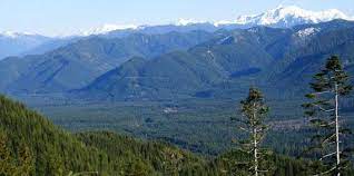 Summit of alander mountain for a breathtaking view. Olympic Experimental State Forest Wa Dnr