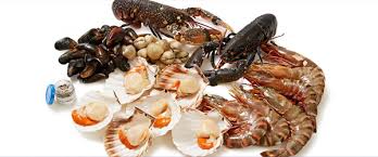 Not to be halal thus they are haram and prohibited for muslims. Is Shellfish Halal Hanafi