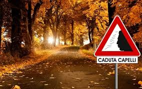 Ogni giorno perdiamo tra i 50 e gli 80 capelli, che vengono sostituiti da quelli nuovi che stanno crescendo. Caduta Di Capelli Stagionale Nascondere Diradamento Dei Capelli