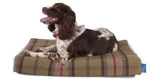 Danish design boot bed from £24.99. Silentnight Supreme Collection Luxury Pocket Sprung Dog Bed Scottie Hunter Washable Dog Bed Waterproof Dog Bed Dog Beds Uk