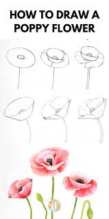 Gentil coquelicot mesdames, gentil coquelicot nouveau pour illustrer la comptine gentil coquelicot le dessin nous montre un bouquet de coquelicots. 1001 Idees De Dessin Bouquet De Fleurs A Faire Soi Meme