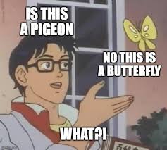 Allow a user to select input text to place near man's head, butterfly, and lower image border. Cirizrw7zqsz2m