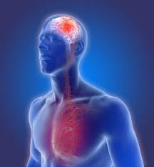 9 photos of the veins and arteries of the neck. Carotid Artery Disease Tenet Health Abrazo Neuroscience Institute