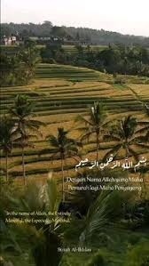 Perfect player has a field for epg url which you get from your supplier as its kind of ties to your line. Martunus Pade Martunusp Profil Pinterest