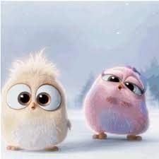 Cute Animated Angry Birds Cute Birds Angry Birds Cute Angry Birds Movie