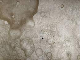 It may be used to soothe and soften your skin, lips these tips on how to get coconut oil stains out of clothes are useful for most types of fabric. How To Remove Oil Stains From Upholstery Fabric