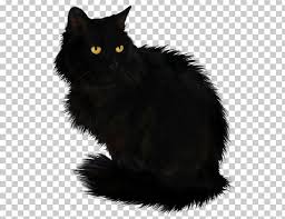 And cookiecat invites all your adorable kitties to ~cookiecat & friends~. Black Cat Png Clipart Animals Asian Semi Longhair Black Black And White Carnivoran Free Png Download