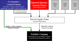 equity co investment wikipedia