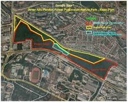 Nature Groups Oppose Zoning Of Dover Forest In Ulu Pandan For Residential Use Environment News Top Stories The Straits Times