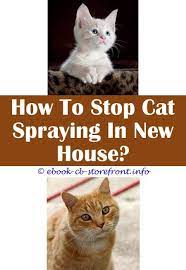 Check spelling or type a new query. 13 Creative Stop Cats Spraying In My Garden Admirable