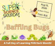 Super Science Saturday - Baffling Bugs