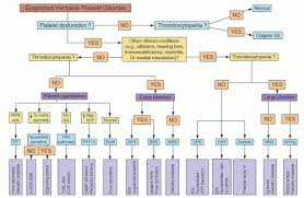 Image result for Platelet Dysfunction