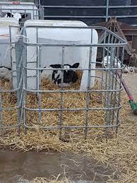 Ibc Calf Hutch Design | The Farming Forum